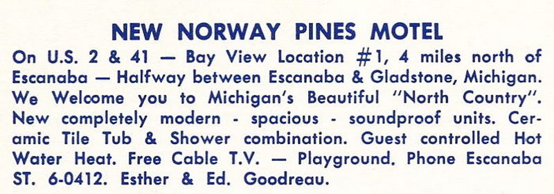 Norway Pines - Vintage Postcard